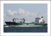 GREEN BERGEN         9143374