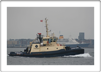 SVITZER NANNA        9364368