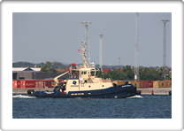 SVITZER NERTHUS     9533048 