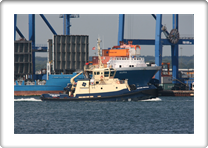 SVITZER NERTHUS     9533048