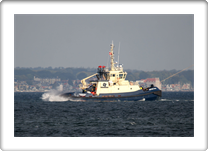 SVITZER NJAL          9533036  