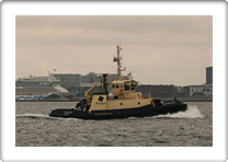 SVITZER NJAL         9533036