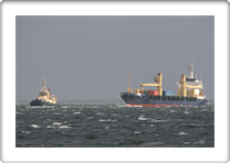 SVITZER NJAL         MIRVA           8411621 