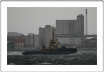 SVITZER TRYM       9548354