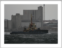 SVITZER TRYM       9548354