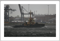 SVITZER TRYM       9548354