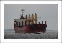 TENNA BULKER         9322736 