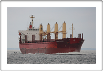 TENNA BULKER         9322736