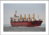 TENNA BULKER         9322736 