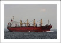 TENNA BULKER         9322736 