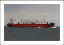 TENNA BULKER         9322736